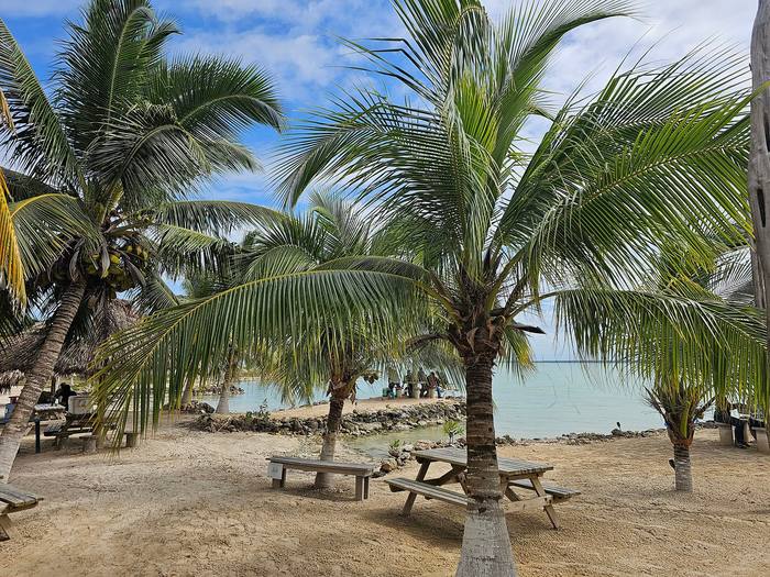 Palms and tables along the beach