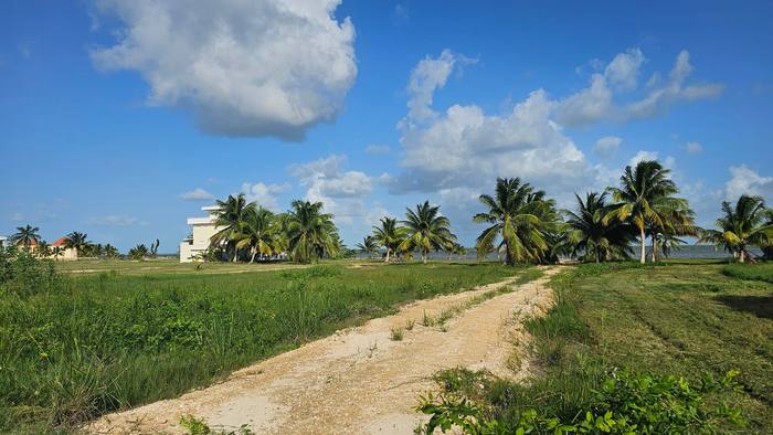 Graded roads through the lots